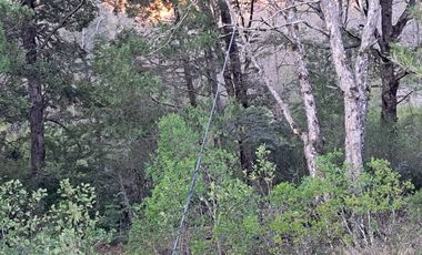 Parcela en venta en PINTO