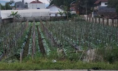 Jual Tanah Strategis Cocok utk Cluster,Indomaret,cafe dll. Dago Giri.