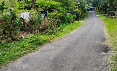 JUAL TANAH DI GIRIPENI WATES KULONPROGO