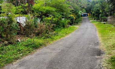 JUAL TANAH DI GIRIPENI WATES KULONPROGO