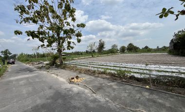 Tanah Dijual Pinggir Jalan: 200m Jl. Besi-Jangkang, SHM