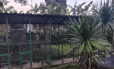 Dijual Villa Cantik dan Estetik