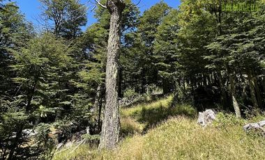 Agrícola en Venta en Campo en Cohaique,