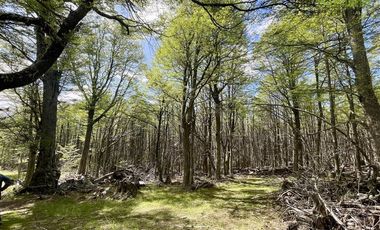 Agrícola en Venta en Campo en Cohaique,