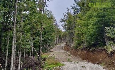 Agrícola en Venta en Campo en Cohaique,