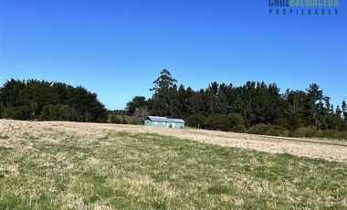 Agrícola en Venta en Sector Chuyaquén