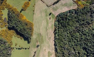 Agrícola en Venta en Sector Chuyaquén