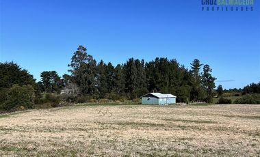 Agrícola en Venta en Sector Chuyaquén