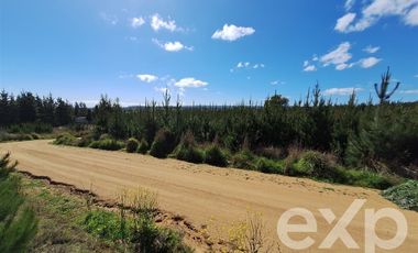 Sitio en Venta en Terreno L184 Alto Colorado