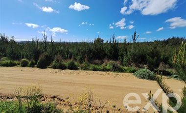 Sitio en Venta en Terreno L184 Alto Colorado