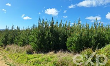 Sitio en Venta en Terreno L184 Alto Colorado