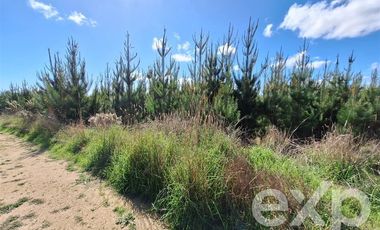 Parcela en Venta en Terreno L184 Alto Colorado