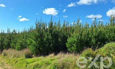 Parcela en Venta en Terreno L184 Alto Colorado