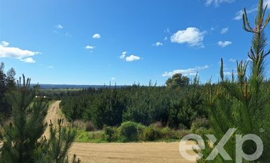 Parcela en Venta en Terreno L184 Alto Colorado