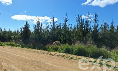 Terreno Construccion en Venta en Terreno L184 Alto Colorado