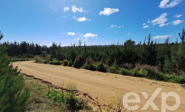 Terreno Construccion en Venta en Terreno L184 Alto Colorado