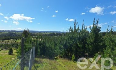 Terreno Construccion en Venta en Terreno L184 Alto Colorado