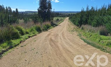 Terreno Construccion en Venta en Terreno L184 Alto Colorado