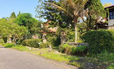 Villa Luas Asri Bagus Nyaman Di Cipanas Puncak Jawa Barat Full Furnish