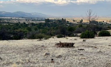 RUTA LOS CONQUISTADORES KM 17