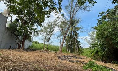 TERRENO EN VENTA -PLAYA DE TUXPAN, VERACRUZ.