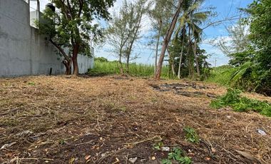 TERRENO EN VENTA -PLAYA DE TUXPAN, VERACRUZ.