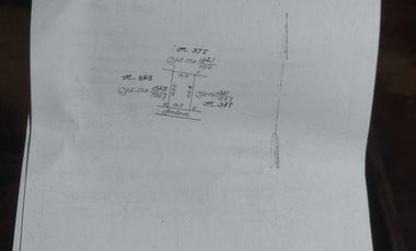 Dijual Tanah di Renon