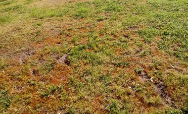 VENTA EN TINGUIRIRICA CASA REGULARIZADA Y TERRENO 975M2