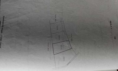 Villa Baru Tropis Modern di Sanur