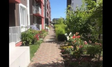 Departamento en Venta en ** Arriendo Departamento 2D 2B en Condominio con Piscina – Chillán, $430.000