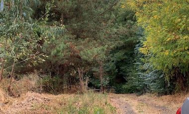 GRAN CASA PATRONAL CON CABAÑA Y BODEGA