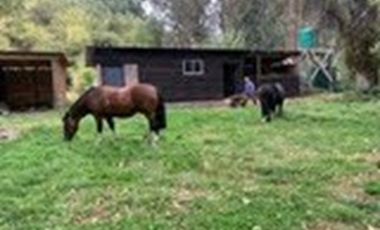 GRAN CASA PATRONAL CON CABAÑA Y BODEGA