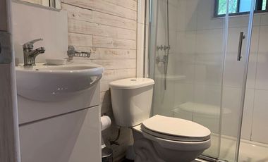 GRAN CASA PATRONAL CON CABAÑA Y BODEGA