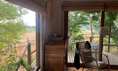 GRAN CASA PATRONAL CON CABAÑA Y BODEGA