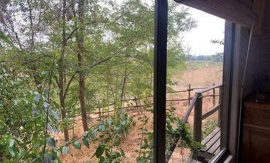 GRAN CASA PATRONAL CON CABAÑA Y BODEGA