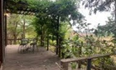 GRAN CASA PATRONAL CON CABAÑA Y BODEGA