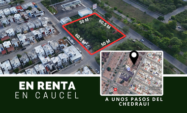 Terreno en renta en Ciudad Caucel, Mérida