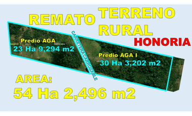 00537 - REMATO TERRENO RURAL EN HONORIA - 54 HA 2, 496 M2