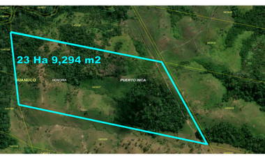 00537 - REMATO TERRENO RURAL EN HONORIA - 54 HA 2, 496 M2