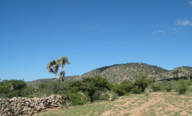 #Venta 470ha a pie de Carretera, Ojuelos de Jalisco