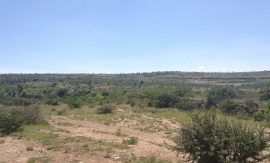 #Venta 470ha a pie de Carretera, Ojuelos de Jalisco