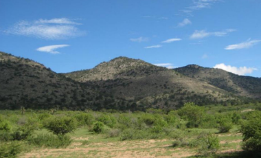 #Venta 470ha a pie de Carretera, Ojuelos de Jalisco