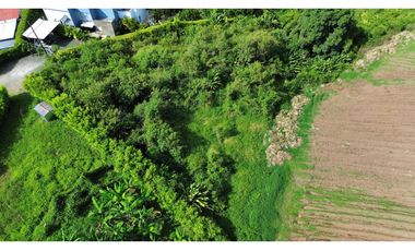 Lote en venta en Sabanitas - Pereira