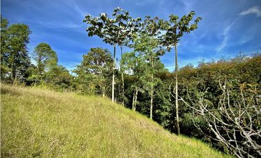 Venta Lote Independiente Medellin Santa Elena