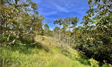 Venta Lote Independiente Medellin Santa Elena