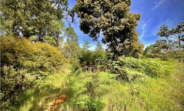 Venta Lote Independiente Medellin Santa Elena