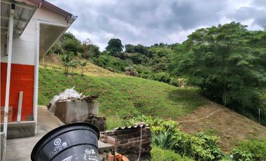 VENTA DE FINCA BUENAVISTA QUINDIO