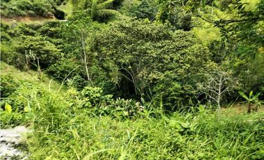 VENTA DE FINCA BUENAVISTA QUINDIO
