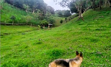 Finca en venta en Barbosa - Vereda Aguas Claras