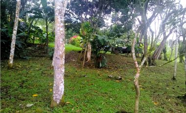 Finca en venta en Barbosa - Vereda Aguas Claras